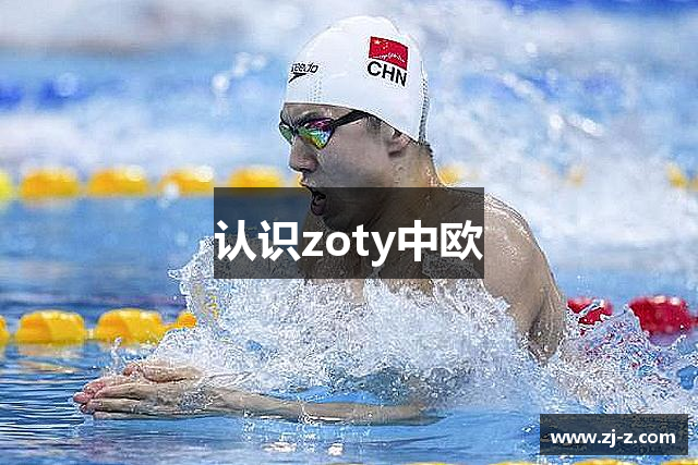 认识zoty中欧
